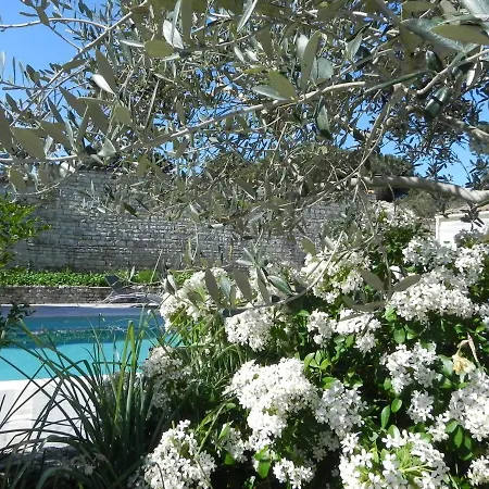 Del Re 3 Face A La Piscine * La Flotte