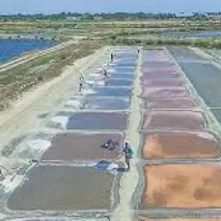 Prázdninový dům Del Re 3 Face A La Piscine